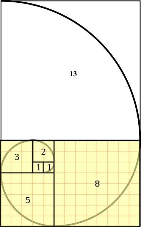 Golden Section, Golden Mean, Divine Proportion, Fibonacci Sequence, Fibonacci Spiral, The Golden Ratio, Foto Tips, Math Art, Geometry Art