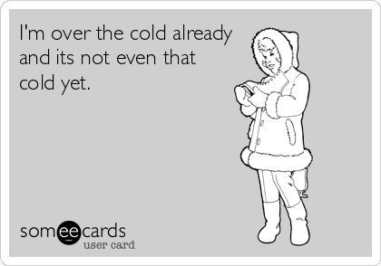 40 Hilarious Winter and Snow Memes for When You're Freezing Your Face Off   #funnypics #funnypictures #wintermemes #snowmemes #lol Hate Winter, E Card, Ecards Funny, Down South, Someecards, Bones Funny, True Stories, Favorite Quotes, I Laughed