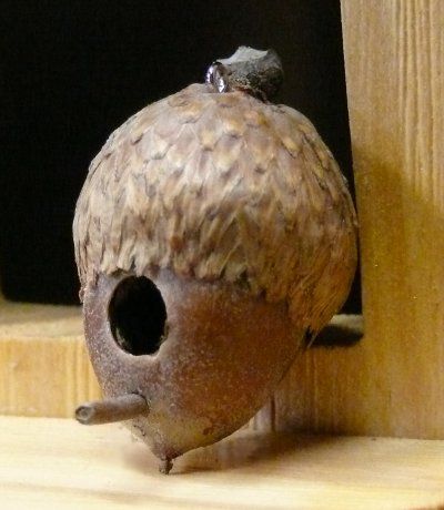 Acorn Birdhouse Fairy Garden Acorn Ideas, Acorn Christmas Ornaments Country Door, Acorn Birdhouse, Acorn Cottage, Birdhouse Diy, Acorn Barnacle, Fairy Houses, Birdhouse, Bird Houses