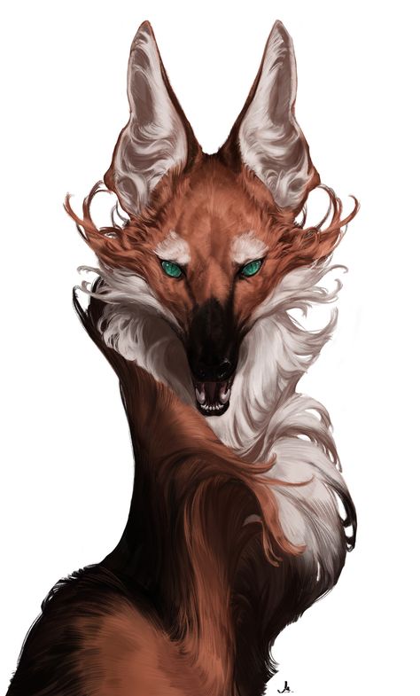 Stylized Animals Drawings, How To Paint Animal Fur, Wolf Human Art, Wolf Facing Forward, Maned Wolf Aesthetic, Animal Ears Reference, Fox Woman Art, Wolf Art Reference, Mane Wolf