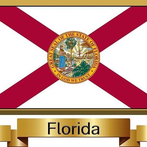 Florida State Flag Stickers, Gifts  Products - Named Florida State Flag, Florida Flag, Flag Png, Flags Of The World, State Flags, The Flag, Florida State, Tapestry Throw, Hardcover Notebook