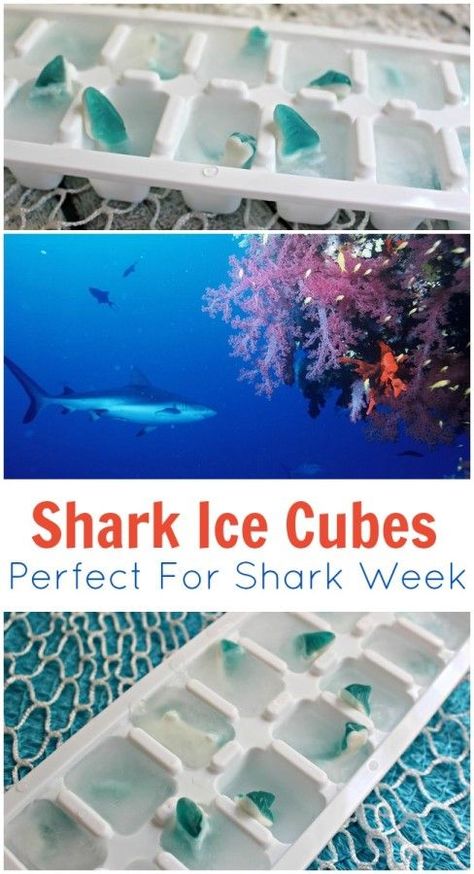 Shark Week Decorations, Ice Cubes Recipe, Shark Week Recipes, Sharknado Party, Jaws Party, Shark Week Party, Ocean Birthday Party, Shark Themed Birthday Party, Ocean Theme Party