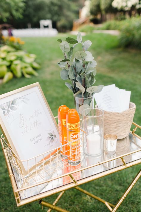 Wedding For 30 Guests, Bug Spray Wedding Favors, Bug Spray And Sunscreen Wedding, Backyard Engagement Party Table Decor, Outdoor Wedding Ceremony Signing Table, Wedding Bug Spray Sign, Bug Spray Wedding Sign, Bug Spray Station Wedding, Backyard Wedding Ceremony Decor