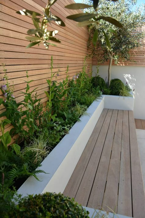 Taman Air, Small Courtyard Gardens, Courtyard Gardens Design, Small Patio Garden, Back Garden Design, Courtyard Gardens, Small Backyard Gardens, Patio Garden Design, Garden Inspo