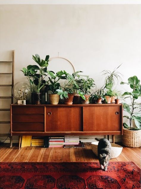 Plants On Credenza, Decor Tv Stand Living Rooms, Scandinavian Interior With Plants, Plant Sideboard, Bohemian Scandinavian Living Room, Bohemian Tv Stand, Tv Stand Styling, Style Plants, Credenza Decor