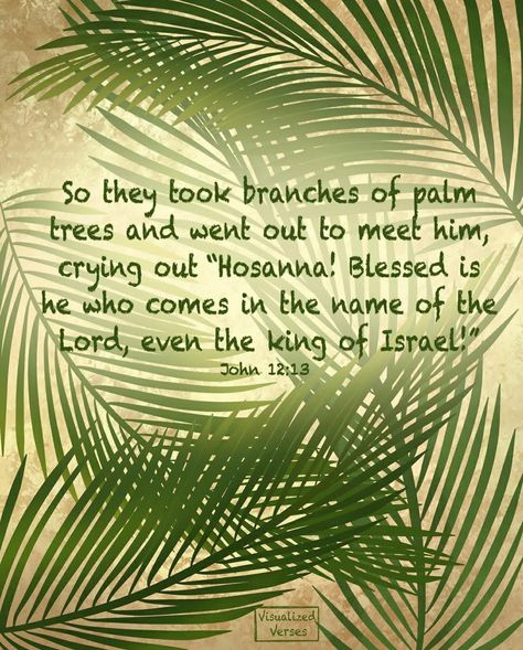 Palm Sunday Quotes Jesus, Palm Sunday Lesson, Palm Sunday Quotes, Sunday Bible Verse, Happy Palm Sunday, Palm Sunday Decorations, Sunday Prayer, Sunday Greetings, Sunday Images