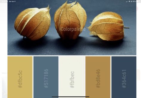 Curry Color Palette, Ocre Color Palette, Ochre Color Palette, Best Color Palettes, Popular Color Palettes, Popular Images, Life Image, Color Palette Ideas, House Color Palettes