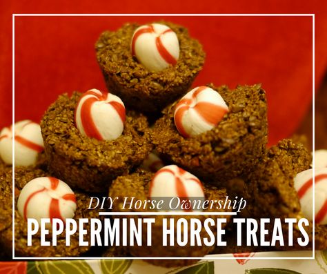 Horse Cookies Recipes, Homemade Horse Treats, Edible Wreath, Holiday Food Crafts, Peppermint Treats, Horse Ownership, Horse Cookies, Diy Horse, Horse Cake