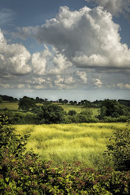 English Summer | Flickr - Photo Sharing! Photos Black And White, Clouds In The Sky, English Summer, Countryside Landscape, Landscape Photography Tips, Image Nature, Landscape Photography Nature, British Countryside, Country Landscaping