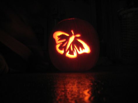 Butterfly carving (from a stencil) I did for a Halloween Jack-O-Lantern!  It turned out so pretty, and with a flickering candle inside, it made it seem like the butterfly was moving! Butterfly Jackolantern, Pumpkin Carving Butterfly, Butterfly Pumpkin Carving, Butterfly Pumpkin, Butterfly Carving, Halloween Pumpkin Stencils, Pumpkin Cravings, Cute Pumpkin Carving, Flickering Candle