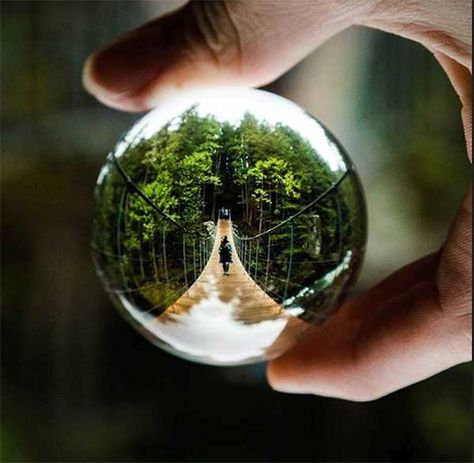 Photography Ideas Christmas, Idea For Photography, Crystal Ball Photography, Lensball Photography, Bubbles Photography, Illusion Photos, Ball Photography, Crystal Photography, Glass Photography