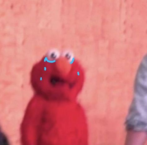 Elmo Pfp Sesame Street, Elmo Sniffing Coke, Elmo Mood, Elmo Funny, Group Collage, Elmo Memes, Elmo Wallpaper, Sid Wilson, Elmo World