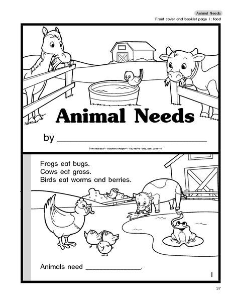 What Animals Need To Live Kindergarten, Farm Unit Study, Needs Of Plants, Preschool Farm, Ag Education, Camp Games, Kindergarten Units, Animal Lessons, Farm Unit