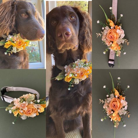 #petaccessories #collaraccents #slipovercollarflowers #dogweddingcollars #pooch #pamperedpooch #giftfordogmummy #doglovers #petsofinstagram #nettskrafts #etsy Flower Collar, Dog Flower Collar, Dog Clip, Dog Flower, Wedding Diy, Black Wedding, Dog Accessories, Wedding Stuff, Dog Collar