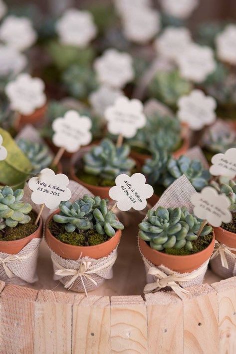 Wedding Bottle Opener Favors, Succulent Wedding Favors, Succulent Favors, Succulent Wedding, Botanical Decor, Baby Shower Party Supplies, Wedding Gifts For Guests, Wedding Favors For Guests, Marriage Ceremony