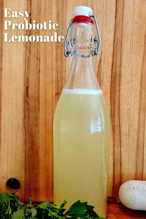 lemonade in bottle Probiotic Lemonade Recipe, Fizzy Lemonade Recipe, Diy Probiotic Drink, Homemade Probiotic Drink, Prebiotic Drink Recipe, Diy Probiotic Soda, Probiotic Soda Recipe, Probiotic Drink Recipes, Probiotic Soda