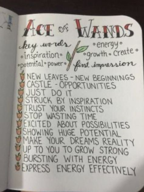 Ace Of Wands, What Are Tarot Cards, Wands Tarot, Learning Tarot Cards, Tarot Card Spreads, Tarot Book, Tarot Tips, Tarot Meanings, Tarot Astrology