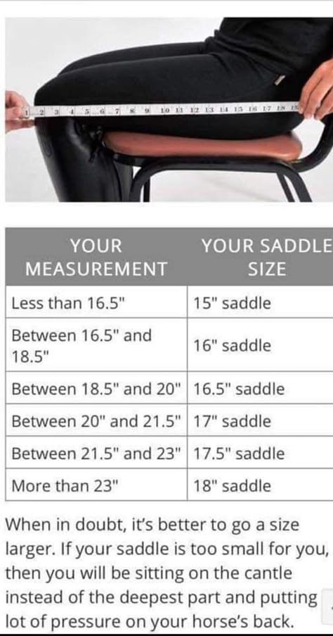 Thigh Measurement, Horse Tack Rooms, Horse Hacks, Horse Farm Ideas, Horseback Riding Tips, Horse Barn Ideas Stables, Barn Hacks, Horse Lessons, Healthy Horses