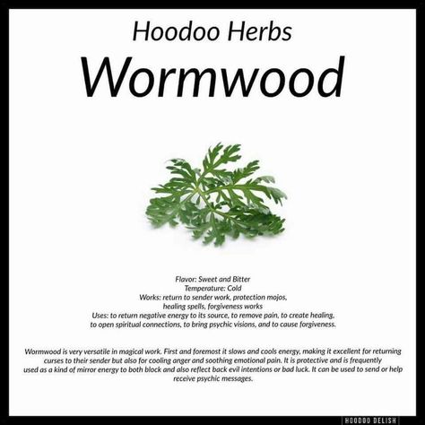 Wormwood Hoodoo Conjure Rootwork, Hoodoo Rootwork, Hoodoo Magic, Hoodoo Conjure, Hoodoo Spells, Magickal Herbs, Voodoo Hoodoo, Magic Herbs, Healing Spells