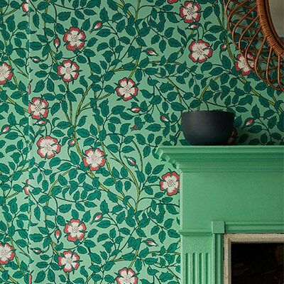 The Sleeping Beauty, Walter Crane, Briar Rose, Arts Crafts Style, Wallpaper Direct, Nursery Wallpaper, Red Shop, National Trust, Little Greene