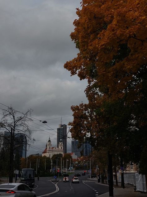 Autumn, fall, vibe, aesthetic, falling leaves, city, downtown, Vilnius, Lithuania, windy, cloudy, rainy day, moody day, cozy, pumkin spice latte time Windy Day Aesthetic, Autumn In The City, City Downtown, Vibe Aesthetic, Vilnius Lithuania, Falling Leaves, Windy Day, Lithuania, Autumn Fall