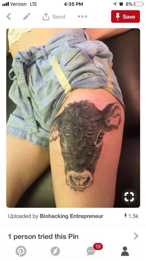 Cow Tattoo Ideas, Belly Tattoos For Women, Cow Tattoos, Unique Animal Tattoos, Vegan Tattoos, Animal Tattoos For Men, Animal Tattoos For Women, Cow Tattoo, Tattoos To Cover Scars