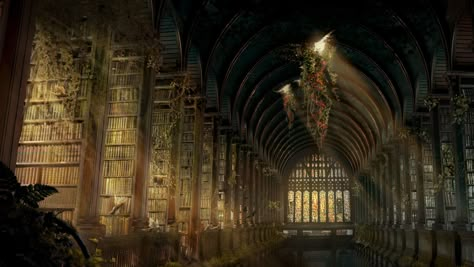 Library Concept Art, Library Concept, Abandoned Library, Gothic Library, Fantasy Library, Ancient Library, Fantasy Locations, Library Aesthetic, Library Art