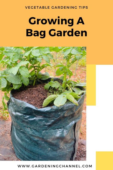 potatoes in grow bag with text overlay vegetable gardening tips growing a bag garden Grow Bag Garden Design, How To Plant Vegetables, Plant Vegetables, Plant Bags, Vegetable Bag, Farm Living, Grow Bags, Farms Living, Planting Vegetables