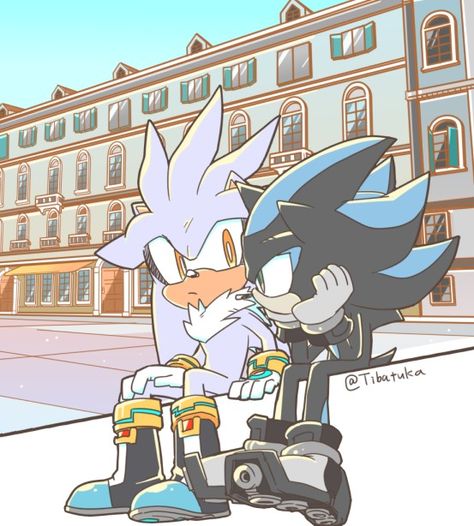 Mephiles And Silver, Mephiles X Silver, Silver X Mephiles, Sonic Heroes, Silver The Hedgehog, Animal Jam, Hedgehog Art, Sonic And Shadow, Sonic Boom