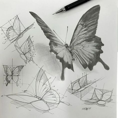 The Power of Composition: Creating Stunning Visuals in Photography (Follow This Link ) Animal Tutorial, Sketch Tutorial, Butterfly Sketch, Structural Drawing, Pencil Sketch Images, Drawing Course, Learn Drawing, Art Drawings Sketches Pencil, Sketches Dresses