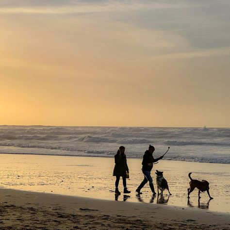 The best way to spend a winter evening (not tonight as it’s pouring!!) Wrapped up warm with a dog walk on Fistral Beach #dogwalkonthebeach #fistralbeach #fistral #dogwalkfistral #februarybeachwalk #sunsetdogwalk #sunsetdogwalks #fistralsunset #fistralsunset #newquaydogwalk #sunsetsilhouettes #sunsetdogsilhouettes Holly Aesthetic, Fistral Beach, 2024 Diary, Sunset Winter, Beach Evening, Winter Beach, Winter Evening, Dog Walk, Evening Walk