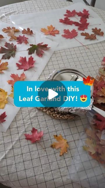 ECOS on Instagram: "Literally in love with this DIY natural leaf garland from @holandsardesign 

In the spirit of using what we have, this natural leaf garland is the perfect fall activity and takes only 20 minutes to make!🍁

Who says you need to spend big to get cozy autumn vibes?! 

Go on a nature walk this weekend and SAVE this so you can do it afterwards 🍂

 
#diydecor  #falldecor #fallleaves #budgetfriendlydecor #sustainabledecor #diyfalldecor #budgetdecor #Upcycleldeas #EcoFriendlyCraft #autumnvibes #fallvibes #ecofriendlyliving #CreativeDIY #craftingideas #ecoscleans" Fall Leaves Garland Diy, Fall Leaf Garland Diy, Leaf Diy Decor, Real Leaf Garland, Leaf Decoration Ideas, Leaf Garland Diy, Autumn Leaf Garland, Fall Leaf Crafts, Nature Walk Activities