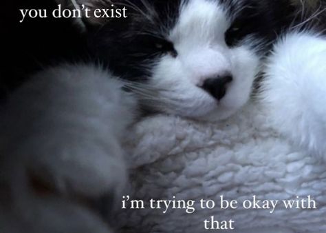 Cat Poetry Quotes, Vent Poetry, Cat Poetry, Dog Poetry, Unspoken Words, I Dont Like You, Don't Like Me, Be Okay, Poetry Words