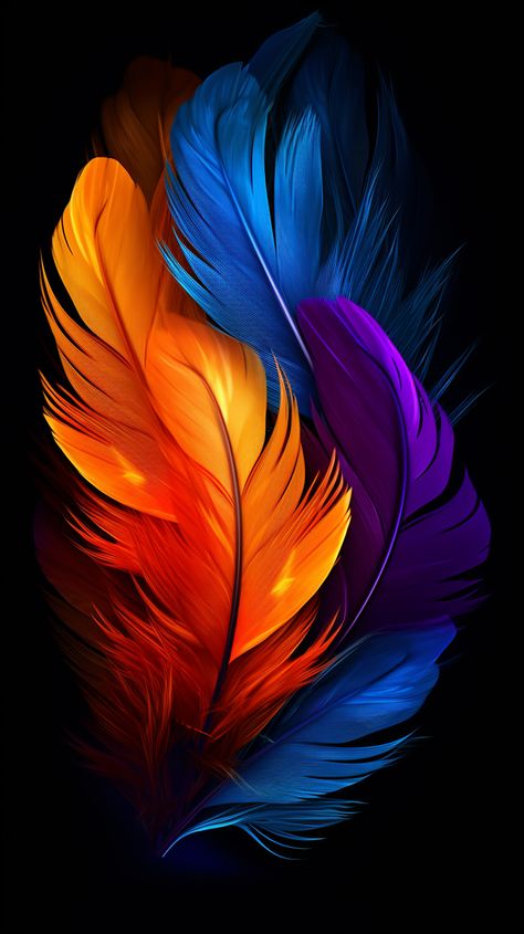 Cute Wallpapers For Android, Feather Wallpaper, Iphone Wallpaper Lights, Android Wallpaper Art, Best Nature Wallpapers, Time Pass, Black And White Art Drawing, Floral Wallpaper Phone, Lovely Flowers Wallpaper