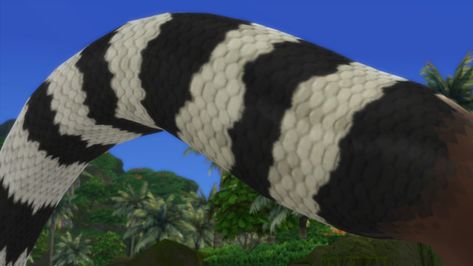 GengarUsedLick on Tumblr Sea Snake, Cc Sims, Sims 4, On Tumblr, Tumblr