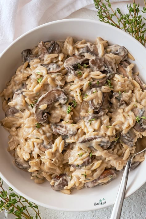 Creamy Mushrooms & Orzo — The Yummy Vegan Vegan Mushroom Orzo, Vegan Mushroom Orzo Recipes, Creamy Vegan Orzo, Orzo Recipes Healthy Vegetarian, Orzo Mushroom Recipes, Orzo Vegan Recipes, Mushroom Orzo Recipes, Vegan Birthday Dinner, Vegan Orzo Recipes