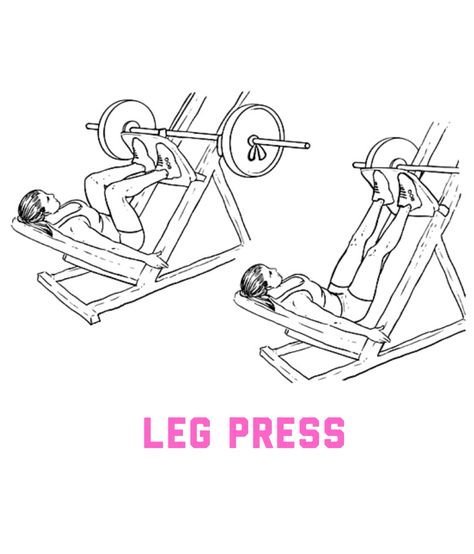 Leg press Machine Aesthetic, Leg Press Machine, Leg Press, Press Machine, Lower Body, Healthy Body, Peace Gesture, Gym, Quick Saves