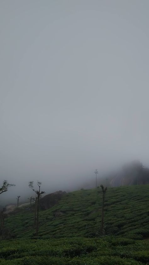 Foggy munnar Munnar Aesthetic, Foggy Forest Aesthetic, Shopping Snap Story, Shopping Snap, Breaking Bad Poster, Snap Story, Script Writer, Dubai Vacation, Instagram Captions Clever