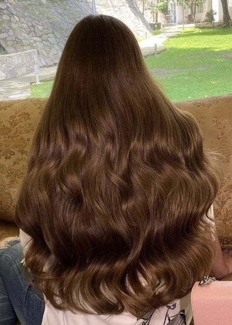 Rich Brown Hair Aesthetic, Hair Colour Aesthetic Ideas, Level 4 Hair Color Brown, Goldish Brown Hair Color, Long Bronze Hair, Brown Hair Shades Chart, Brown Hair Inspo Color For Pale Skin, Deanna Aesthetic, Long Chestnut Brown Hair