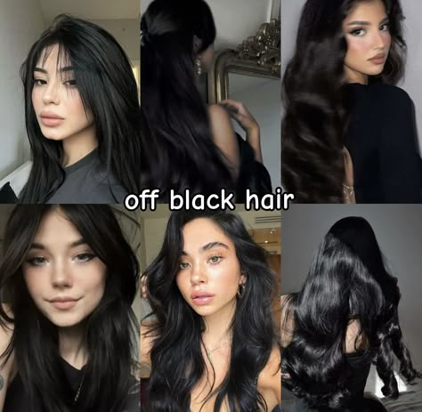 Soft Cool Black Hair, Different Black Hair Colors Shades, Different Tones Of Black Hair, Black Hair Dye Colors, Black Hair For Olive Skin Tone, Black Hair Undertones, Different Types Of Black Hair, From Brown To Black Hair, Black Haired Beauty