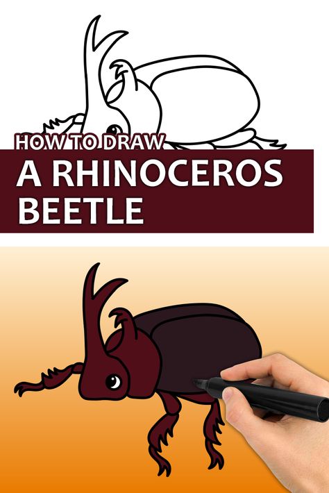 Learn how to draw a Rhinoceros Beetle with this step by step drawing tutorial video. Enjoy! ♥ #rhinocerosbeetle #beetles #insectdrawing #howtodraw #easydrawingforkids Rhino Beetle Drawing, How To Draw Insects, Draw Insects, Drawing On Hand, Beetle Drawing, Rhinoceros Beetle, Rhino Beetle, Kid Drawing, Snake Drawing