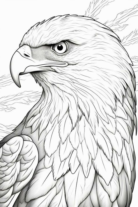 Egal Drawings, How To Draw An Eagle, Eagle Drawing Sketches, Macaw Parrot Drawing, Eagle Art Draw, Traceable Drawings, Eagle Coloring Pages, Eagle Sketch, Pencil Drawings Of Nature