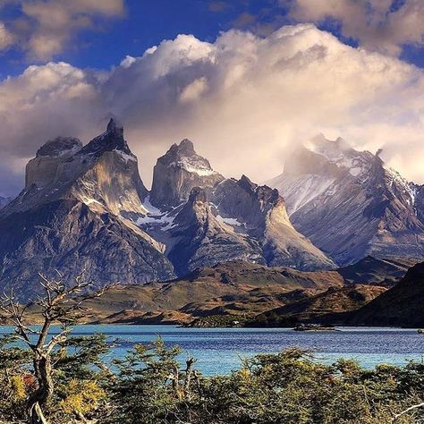 Huge Mountains, Life Aspirations, Chilean Patagonia, Delta Green, The Andes Mountains, Mountain Pictures, Temperate Rainforest, Andes Mountains, Travel Tops