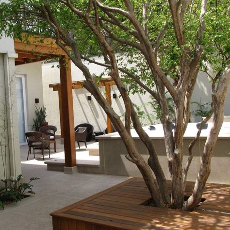 Patio With Tree, Patio Chico, Wood House Design, Porch Veranda, Interior Garden, Backyard Projects, Outdoor Rooms, Front Garden, Outdoor Design