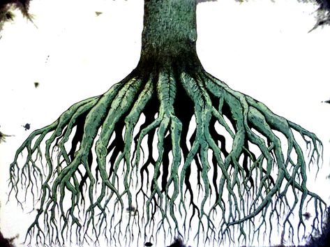 Roots Tree Roots, Penguin Books, Visual Development, Tree Painting, Garden Tools, The Originals, Drawings, Art