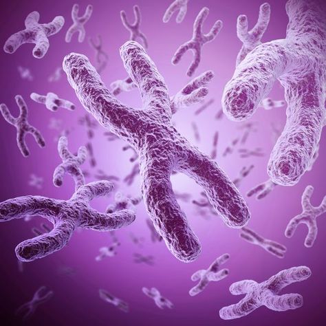 Females' extra X chromosome appears to be a factor in autoimmune disorders X Chromosome, Dna Replication, Genetic Engineering, Gene Therapy, Cell Biology, Higher Dose, Genetic Testing, Autoimmune Disorder, Genetic