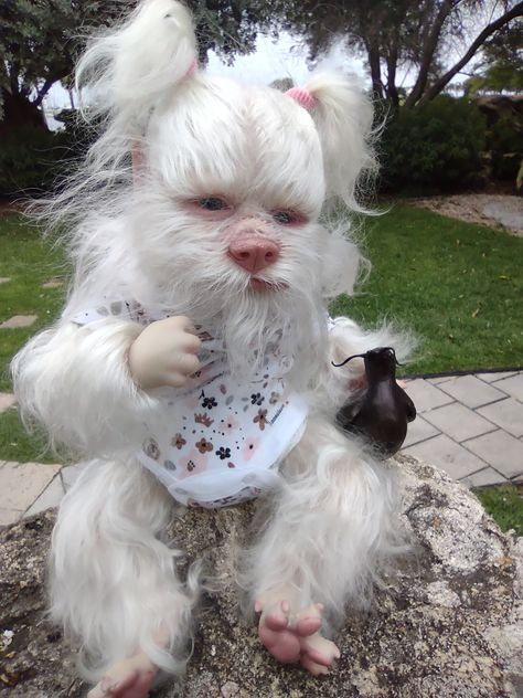 Werewolf puppy Werewolf Puppy, Weird Dolls, Life In Paradise, Magical House, Lifelike Dolls, Fantasy Art Dolls, Silicone Dolls, Polymer Clay Miniatures, Clay Miniatures