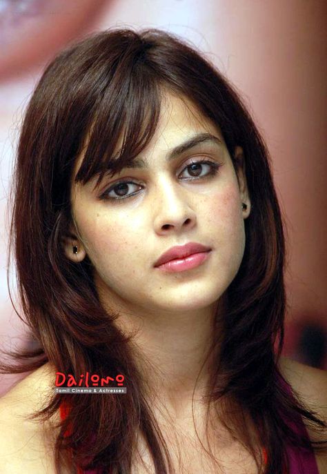 Genelia DSouza Genelia Dsouza Haircut, Genelia Dsouza Cute, Genelia Dsouza Hot, Genelia Dsouza, Jayne Matthews, Good Haircut, Bollywood Beautiful, Genelia D'souza, Y2k Hairstyles