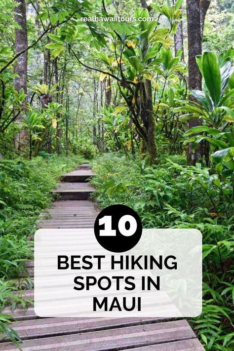 Discover the 10 best hikes in Maui, offering stunning views of lush rainforests, waterfalls, and volcanic landscapes. Whether you’re seeking an easy coastal walk or a challenging mountain trail, Maui has something for every level of hiker. Click here to explore the top trails and start planning your adventure! Hikes In Maui, Maui Travel Guide, Maui Itinerary, Waterfall Trail, Maui Travel, Mountain Trail, Hiking Spots, Waterfall Hikes, Mountain Trails