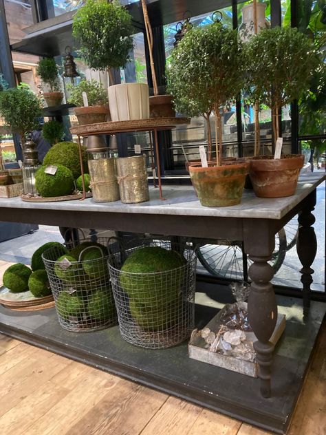 Floralist Shop, Garden Center Displays, Antique Booth Displays, Labyrinth Design, Flower Shop Design, Boutique Display, Patio Style, Garden Whimsy, Plant Table